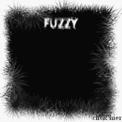 fuzzy05